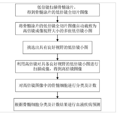 一種基于深度學(xué)習(xí)的骨髓細(xì)胞分類識別方法、裝置及系統(tǒng)