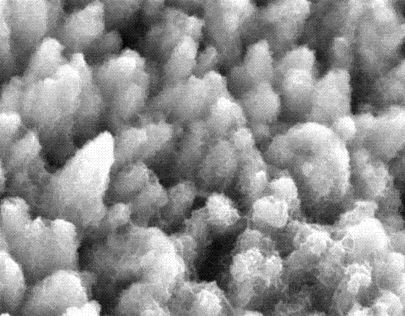 一種柔性敏化太陽能電池對(duì)電極的制備方法