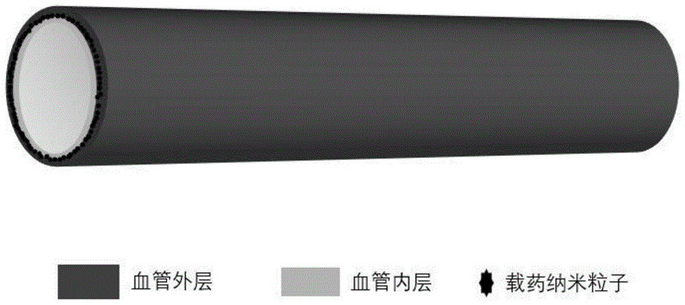 具有促內(nèi)皮化及抗凝雙功能的人工血管及制備方法、用途
