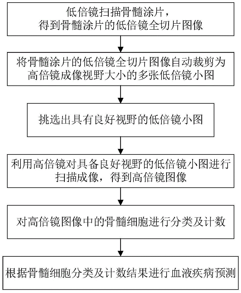 一種基于深度學(xué)習(xí)的骨髓細胞分類識別方法、裝置及系統(tǒng)