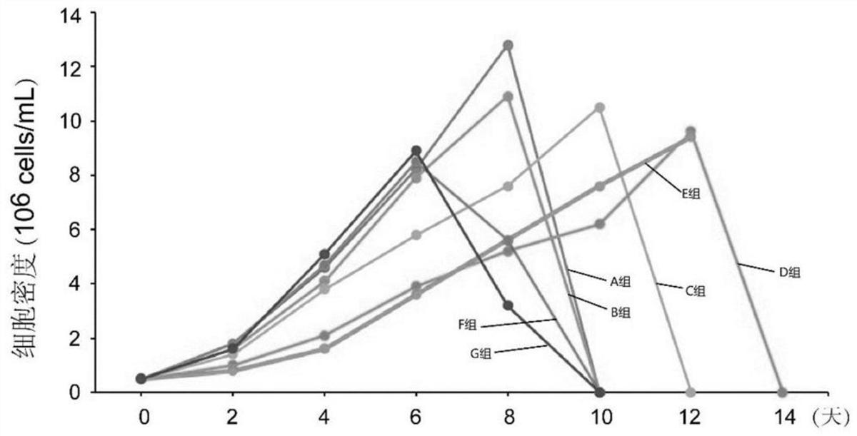小分子肽及其應(yīng)用、細(xì)胞培養(yǎng)基、核酸分子
