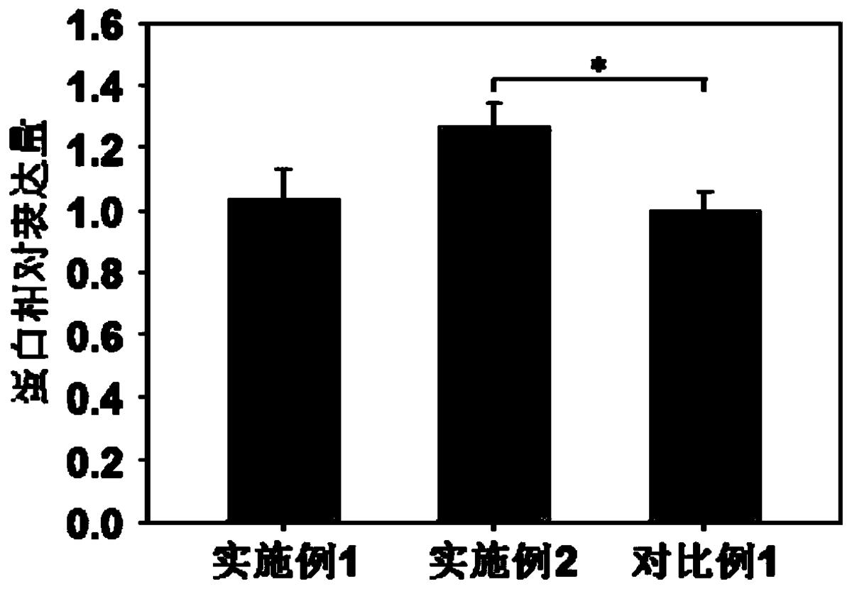 一種無血清無蛋白CHO細(xì)胞培養(yǎng)基及其制備方法、應(yīng)用