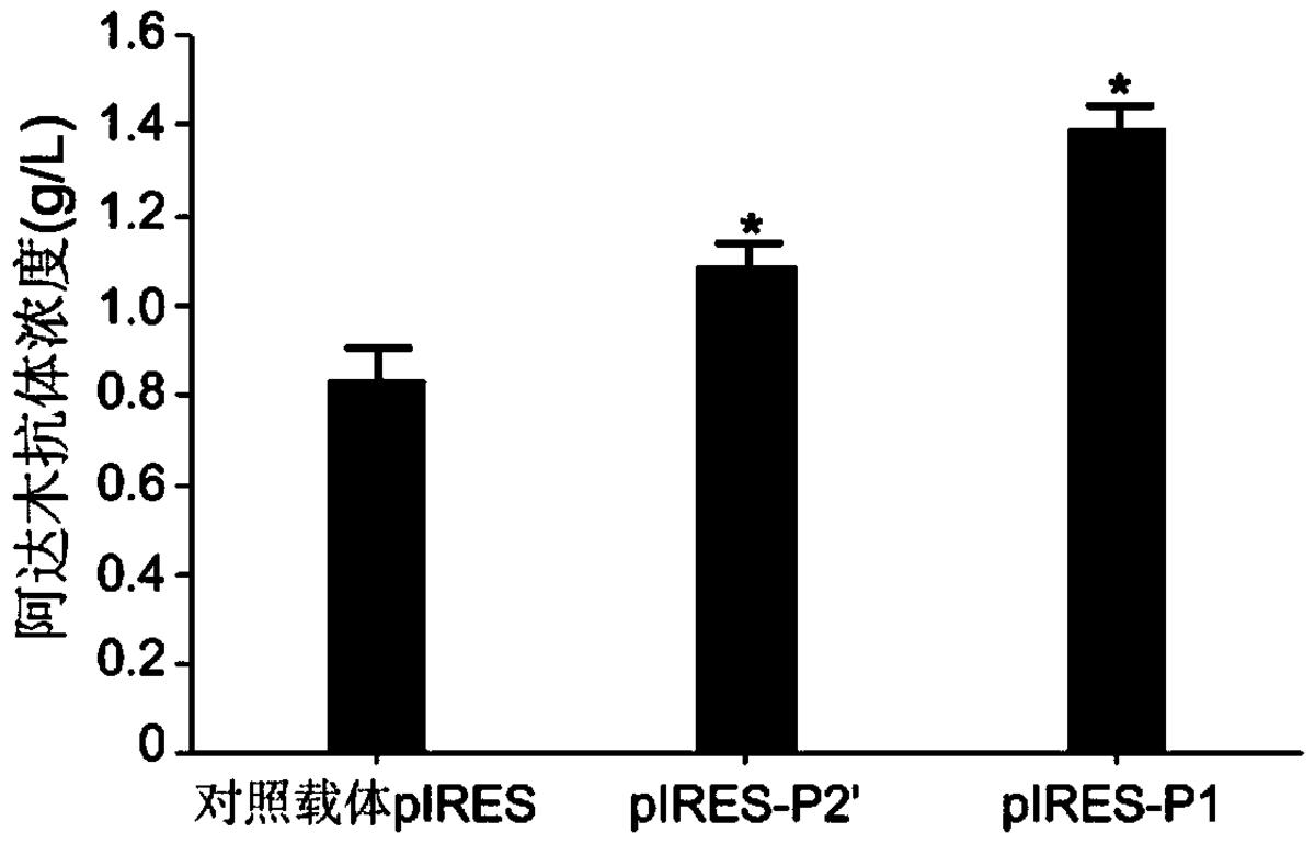 人工合成的內(nèi)含子、哺乳動(dòng)物細(xì)胞重組表達(dá)載體、哺乳動(dòng)物宿主細(xì)胞、表達(dá)方法及其應(yīng)用