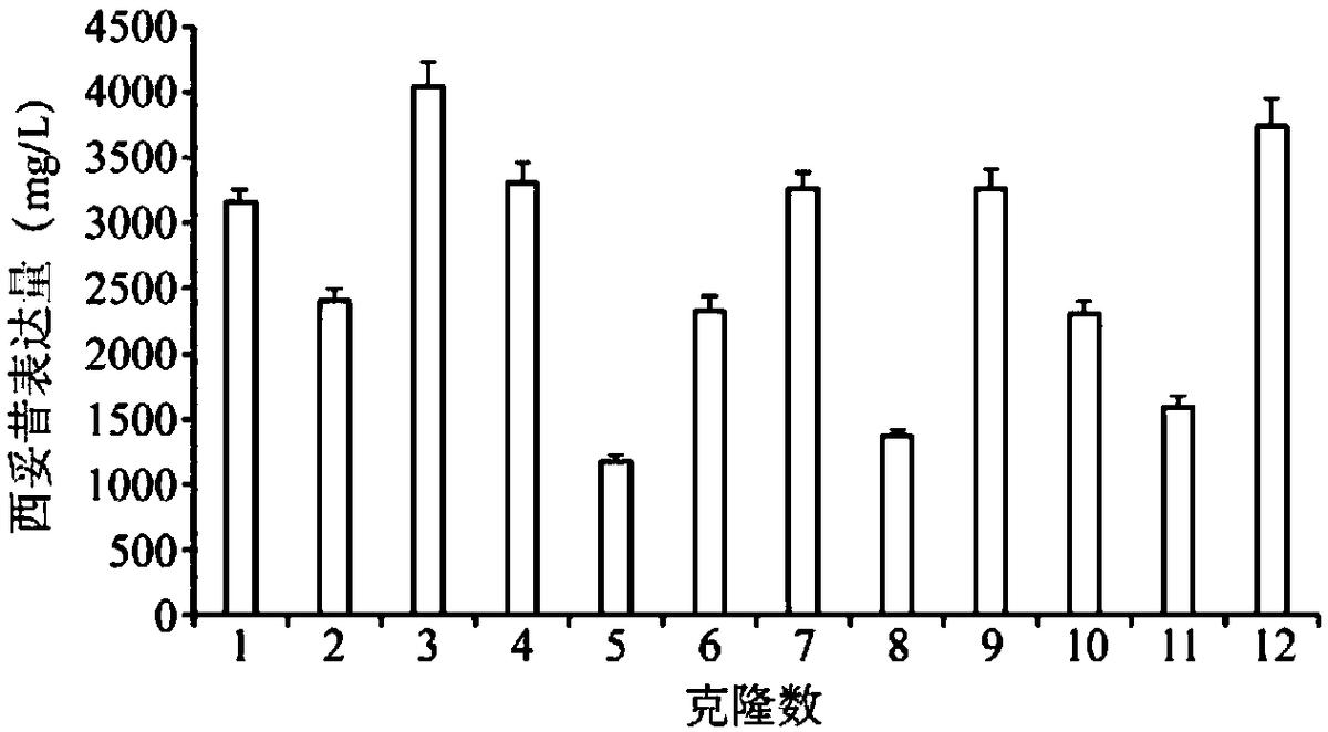 一種人工合成的MAR共有序列、表達(dá)載體、表達(dá)系統(tǒng)及其應(yīng)用