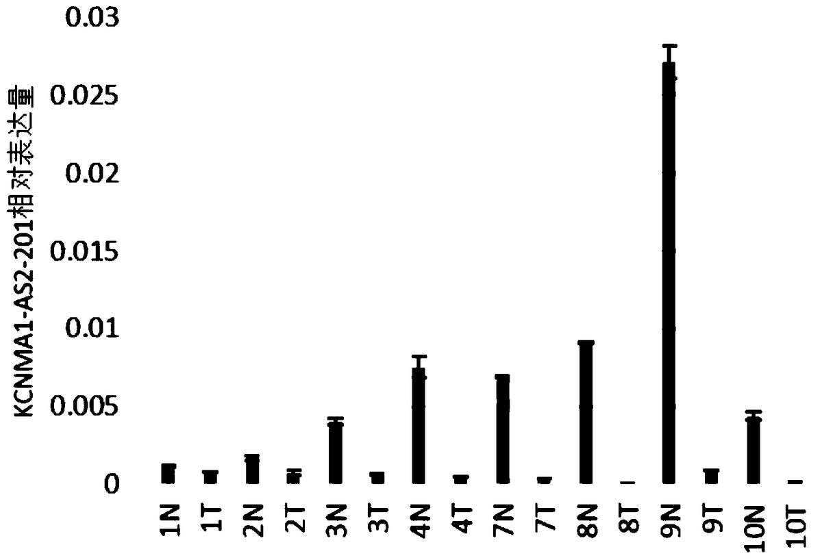 本發(fā)明涉及一種lncRNA標(biāo)志物在制備結(jié)直腸癌早期診斷產(chǎn)品中的應(yīng)用、檢測引物、試劑盒，屬于基因工程及腫瘤學(xué)領(lǐng)域。本發(fā)明的lncRNA標(biāo)志物在制備結(jié)直腸癌早期診斷產(chǎn)品中的應(yīng)用，所述lncRNA標(biāo)志物為KCNMA1?AS2?201，具有如SEQ ID NO.3所示的核苷酸序列。本發(fā)明的lncRNA標(biāo)志物在制備結(jié)直腸癌早期診斷產(chǎn)品中的應(yīng)用，利用該標(biāo)志物在結(jié)直腸癌組織中呈特異性低表達(dá)，而在正常組織中沒有這