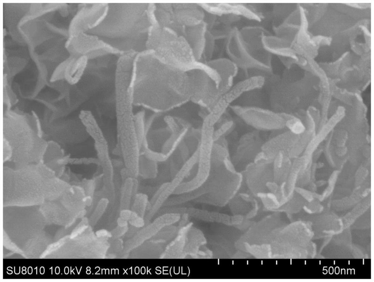 微生物燃料電池用陽(yáng)極及其制備方法、微生物燃料電池