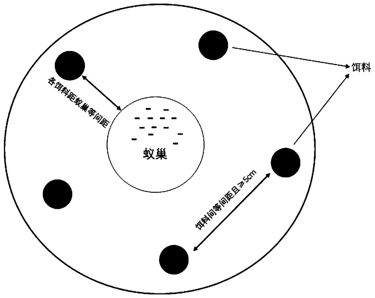 一種紅火蟻餌料田間評(píng)價(jià)方法